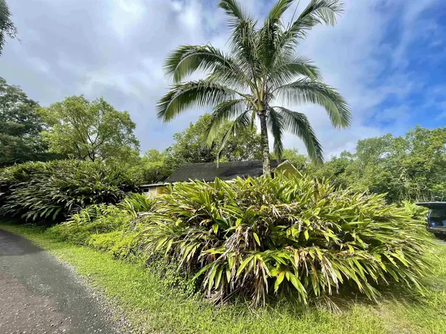 Listing Image for 440 Huelo Rd 23 of 28