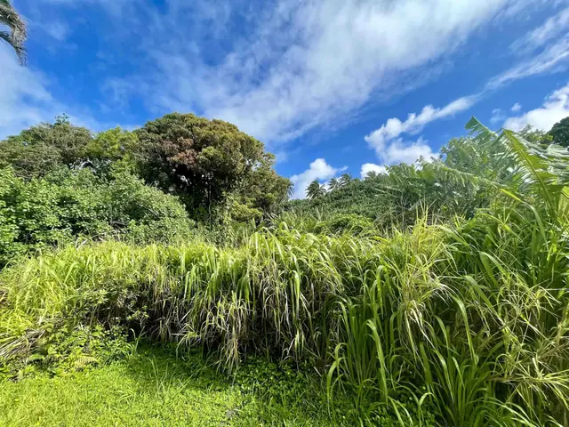 Listing Image for 440 Huelo Rd 24 of 28