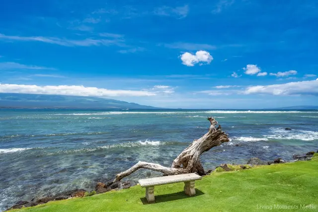 Listing Image for 100 Hauoli St 103 45 of 50