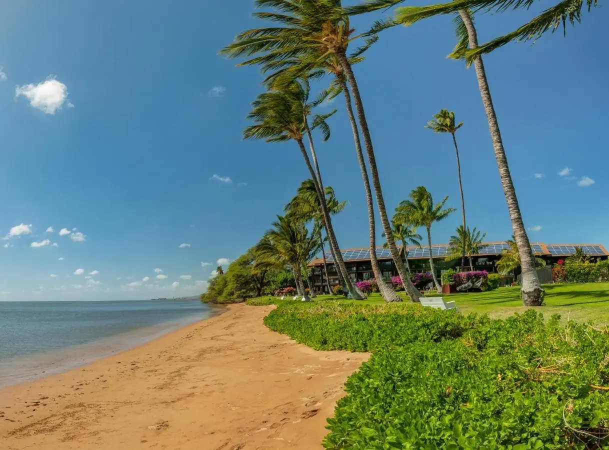 Photo of Listing #409166