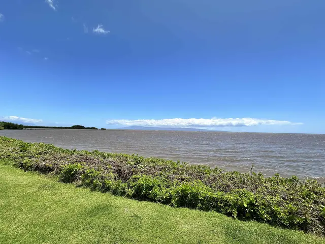 Listing Image for 1000 Kamehameha V Hwy C329 21 of 26