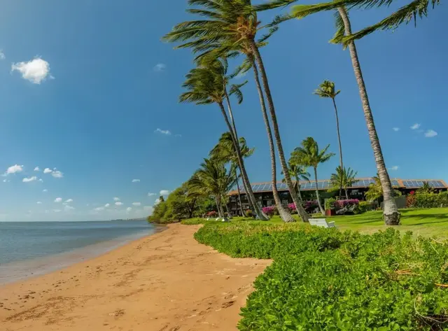 Listing Image for 1000 Kamehameha V Hwy C329 25 of 26