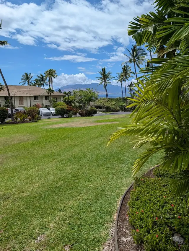 Listing Image for 3950 Kalai Waa St C102 16 of 17
