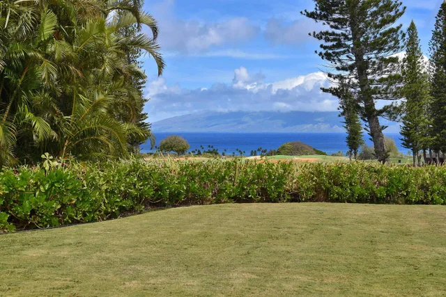 Listing Image for 116 Pulelehua St 1 32 of 39