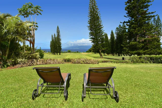 Listing Image for 116 Pulelehua St 1 35 of 39