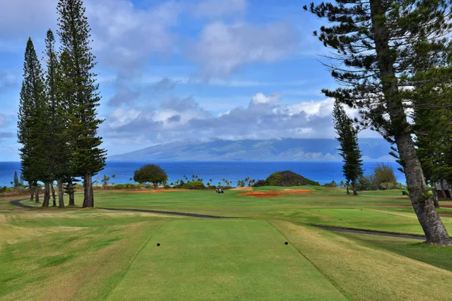 Listing Image for 116 Pulelehua St 1 8 of 39