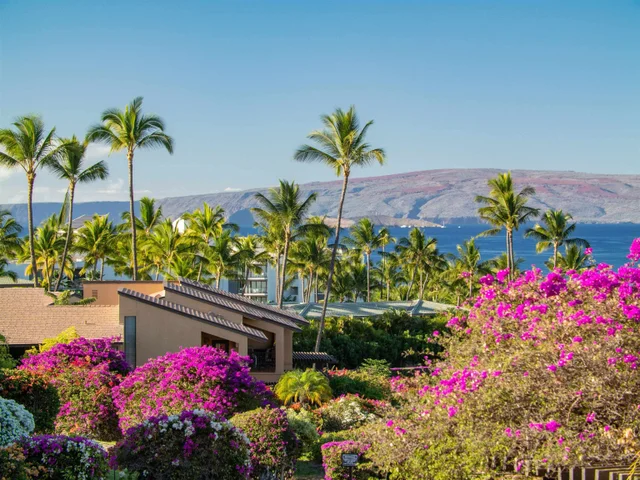 Listing Image for 3300 Wailea Alanui Dr 41c 11 of 50