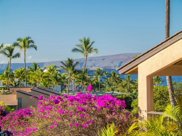 Listing Image for 3300 Wailea Alanui Dr 41c 8 of 50