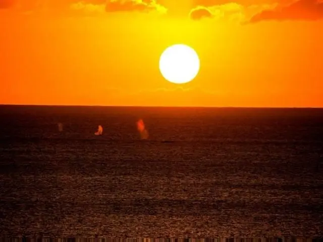 Listing Image for 36 S Kihei Rd 408 21 of 23