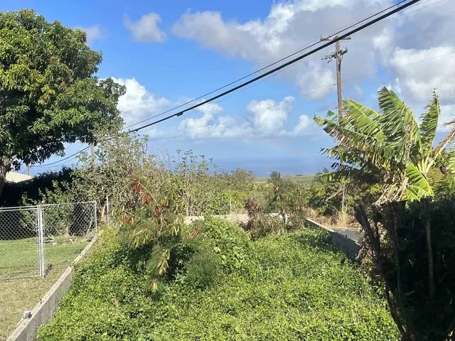Listing Image for 2868 Old Haleakala Hwy 41 of 41