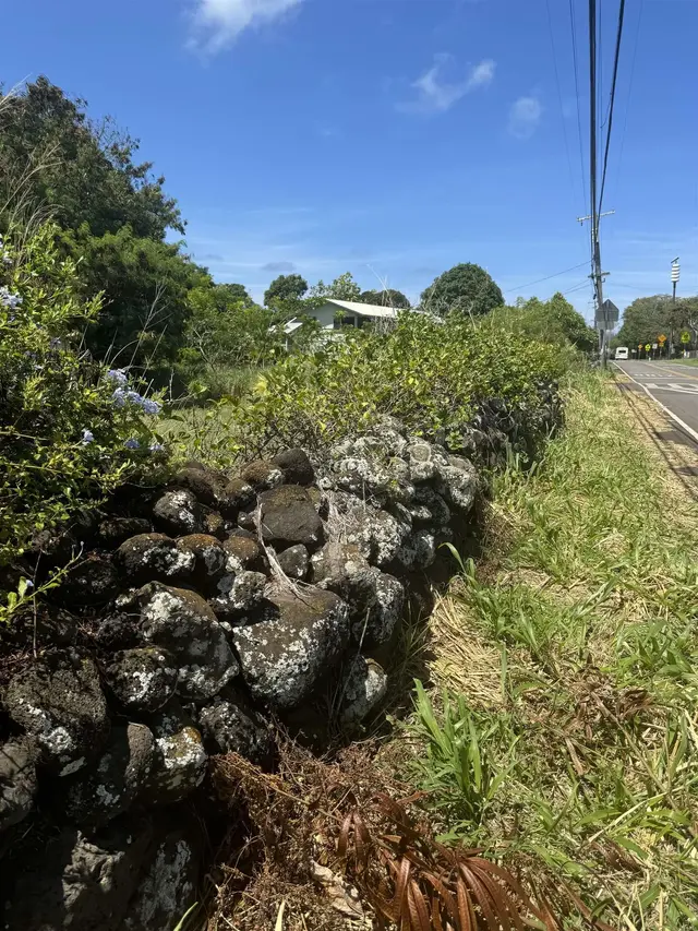 Listing Image for 7308 Kamehameha V Hwy 14 of 18