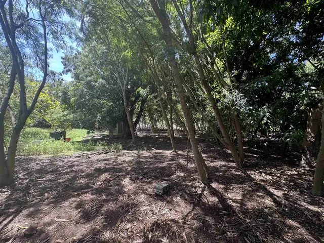 Listing Image for 7308 Kamehameha V Hwy 8 of 18