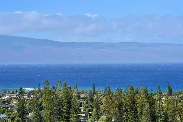 Listing Image for 100 Woodrose Pl 44 of 50