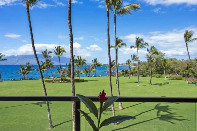 Listing Image for 2936 S Kihei Rd 311 16 of 19