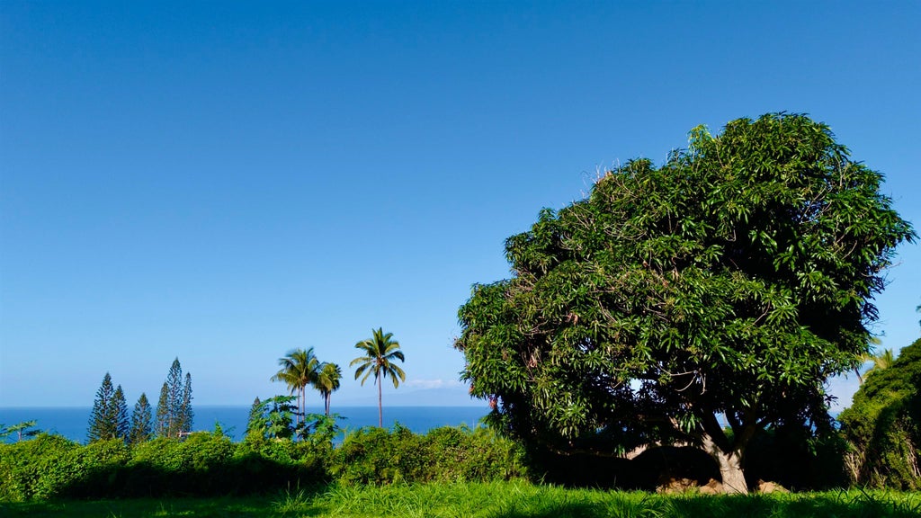 3435 Hookipa Pl, Unit Unit A, Maui Meadows