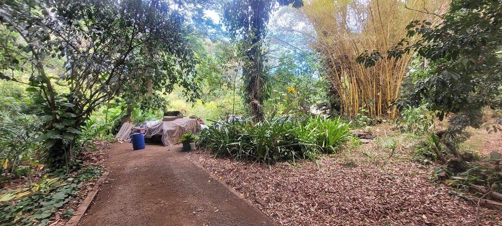 1448 W Kuiaha Rd, Haiku