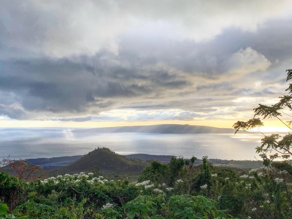 Ulupalakua Rd, Kula/Ulupalakua/Kanaio