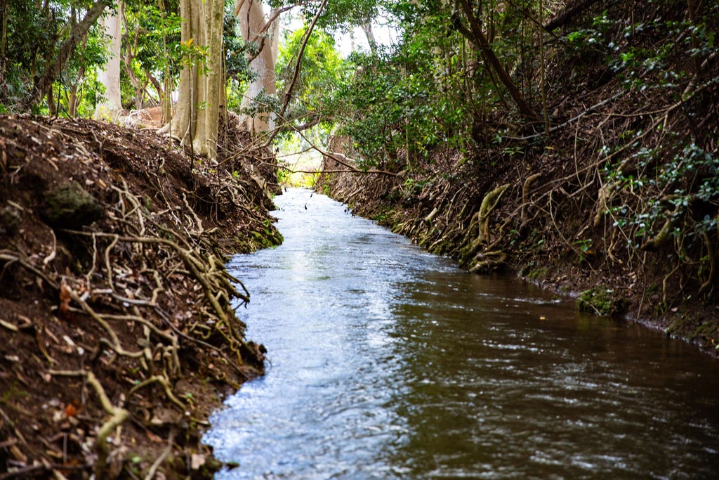 Malaihi Rd, Wailuku