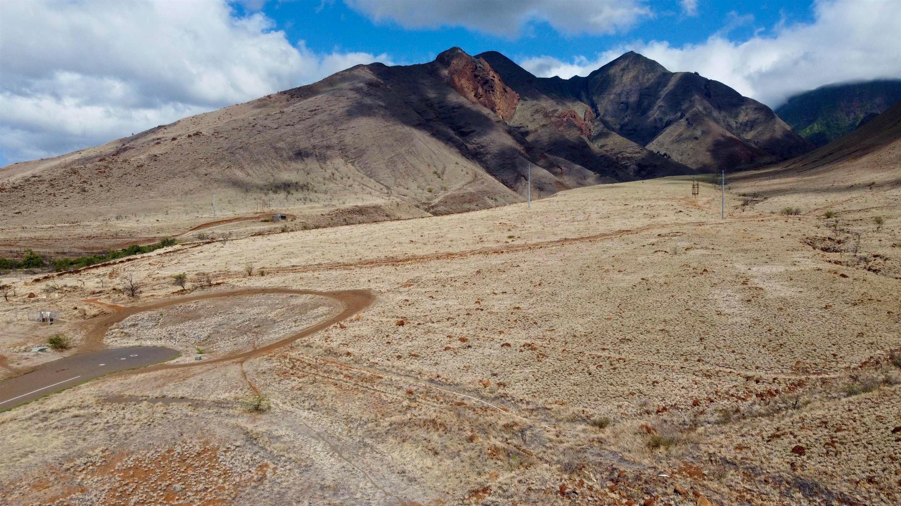 Photo of Listing #407907