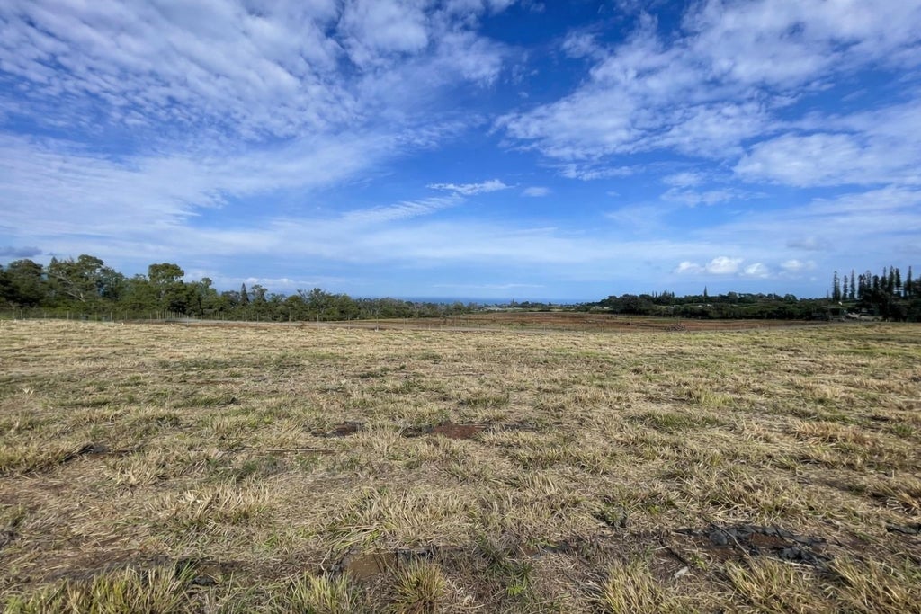 1221 Haliimaile Rd, Makawao/Olinda/Haliimaile