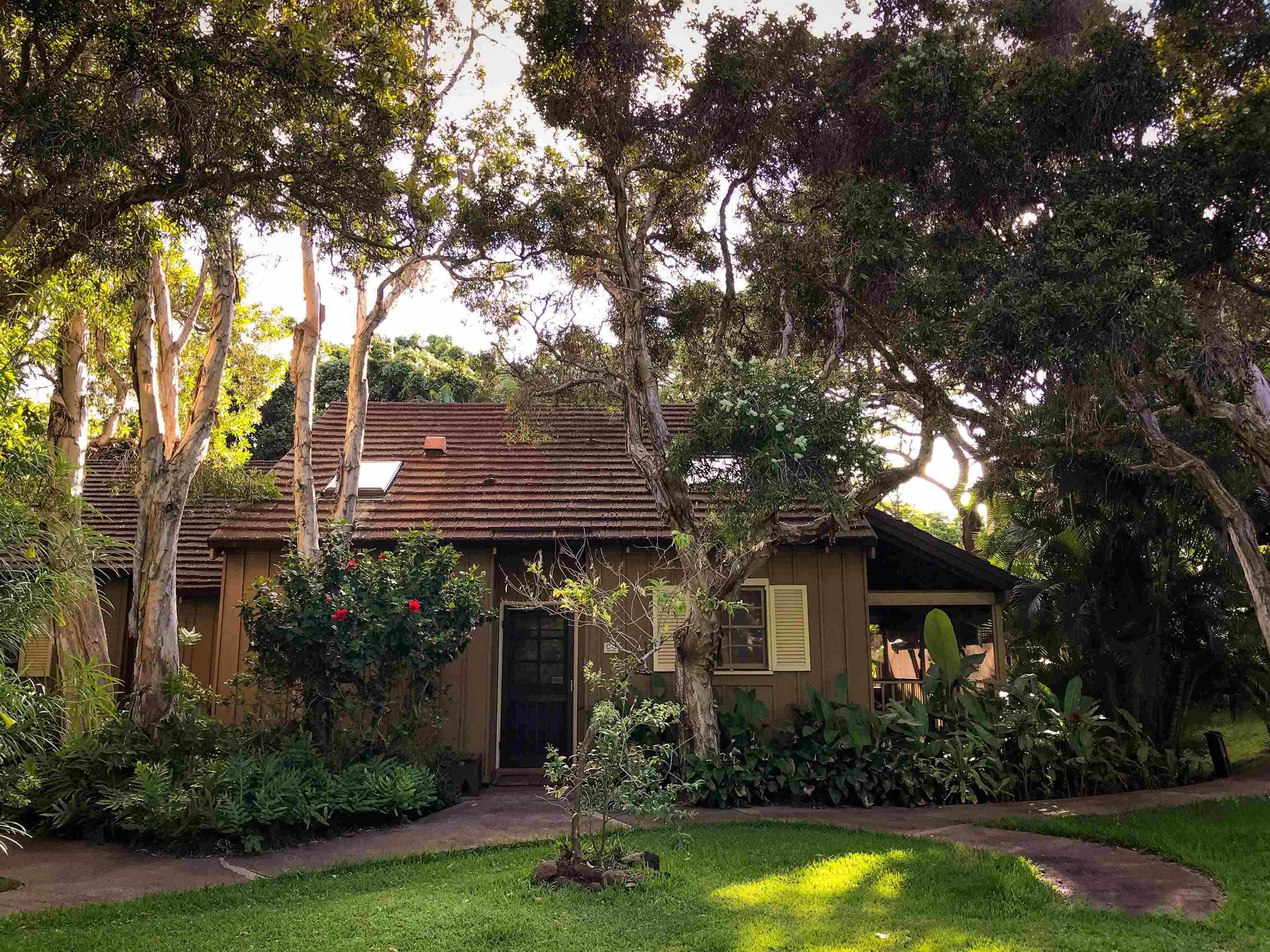 Photo of Listing #406611