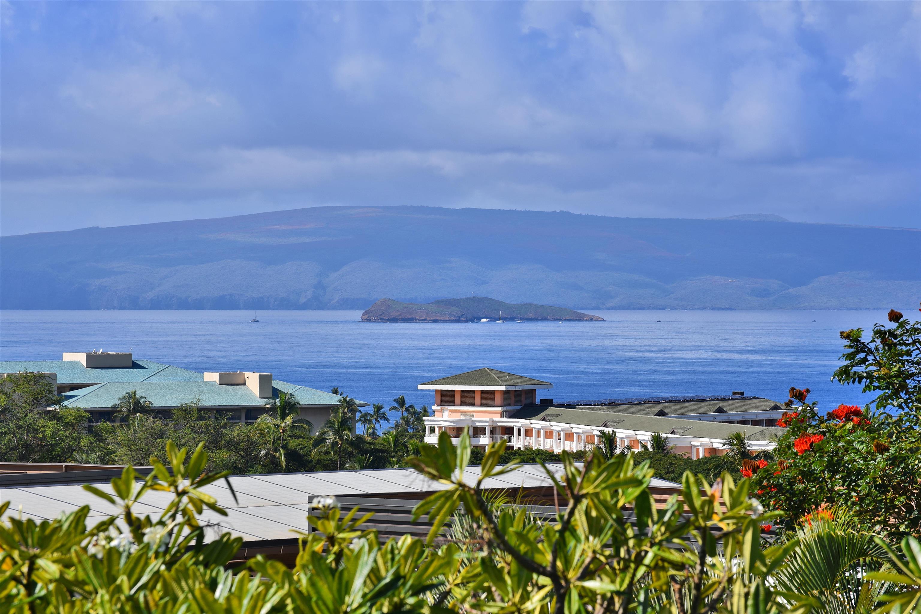 Photo of Listing #407940