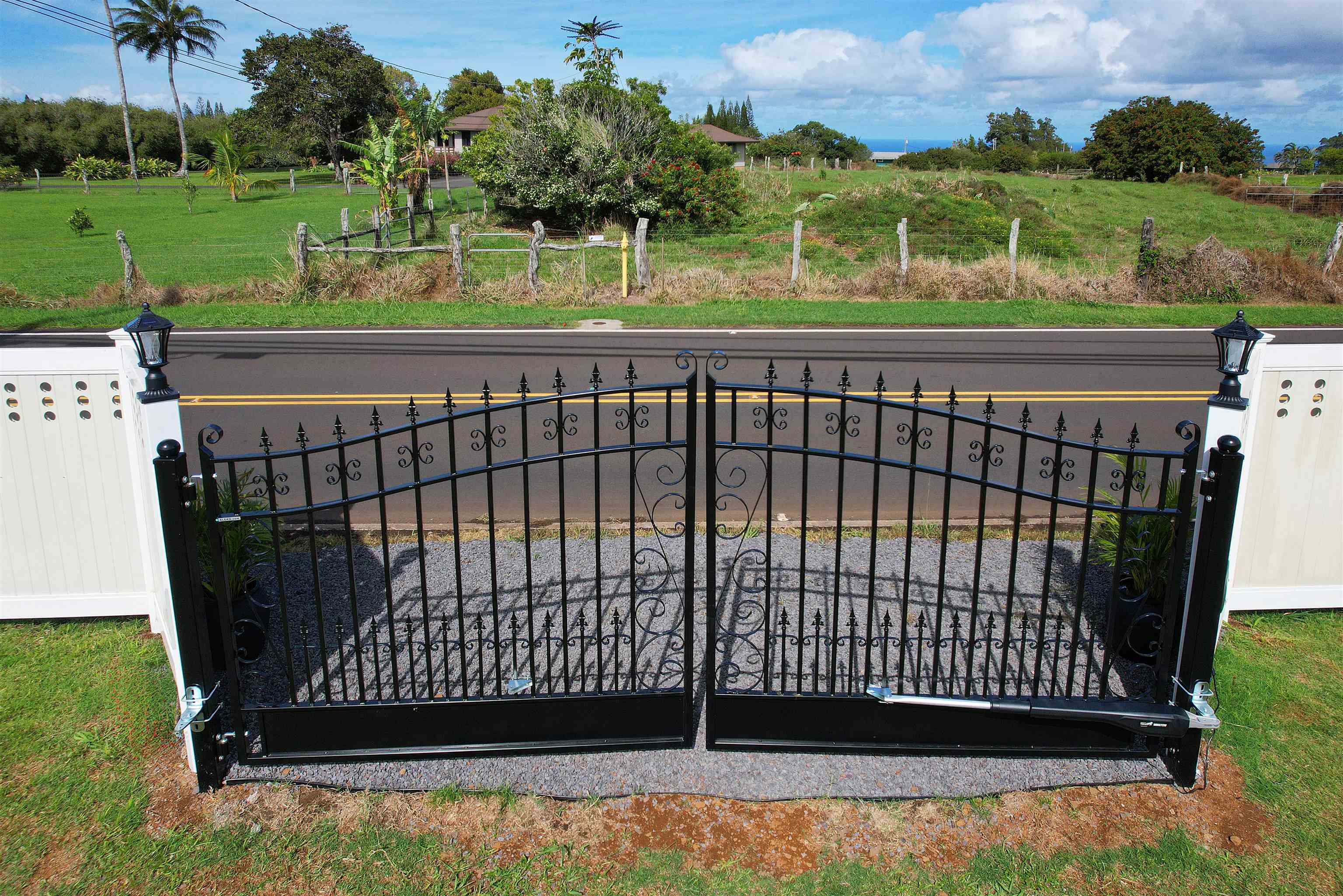 Photo of Listing #407650