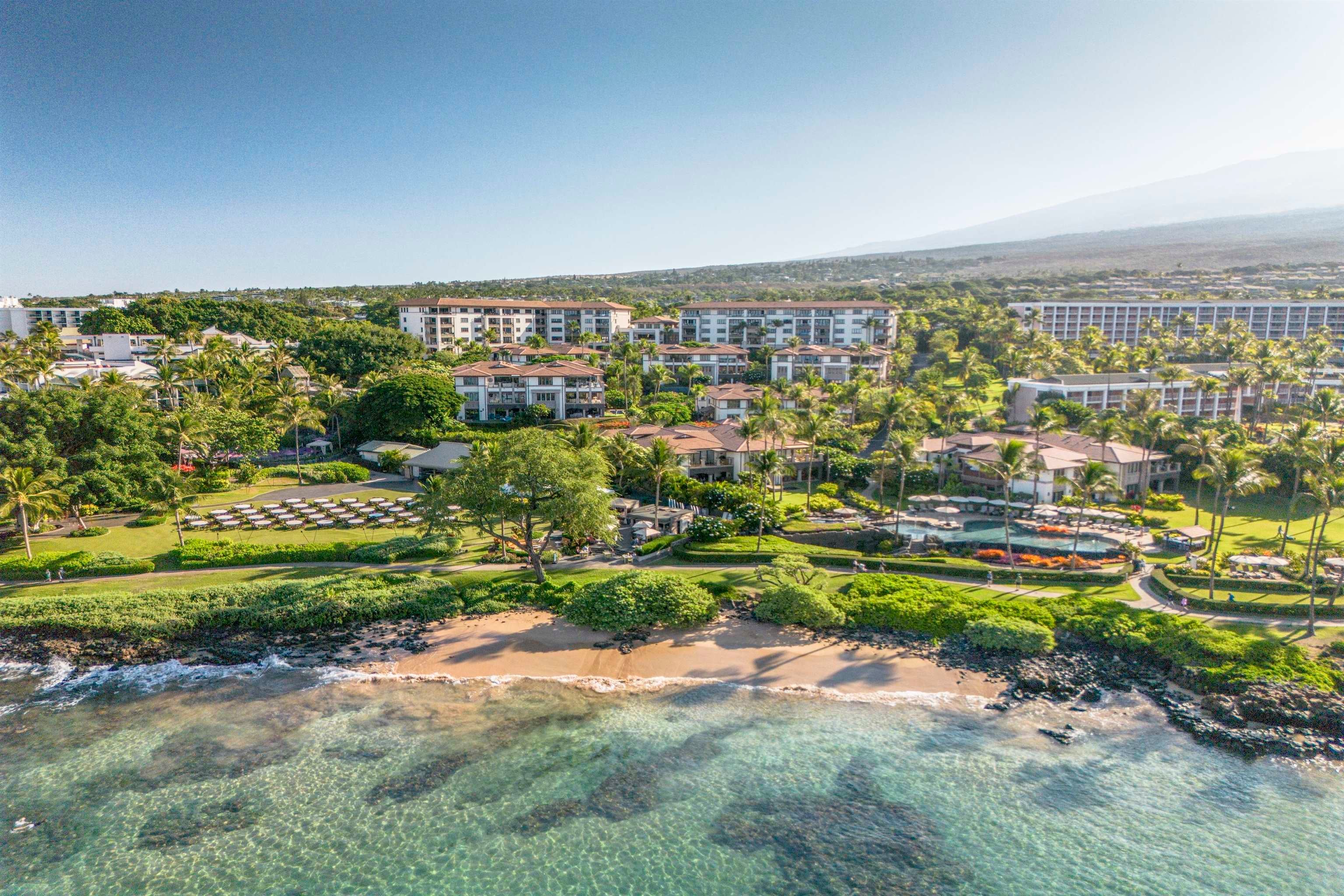 Photo of Listing #407393