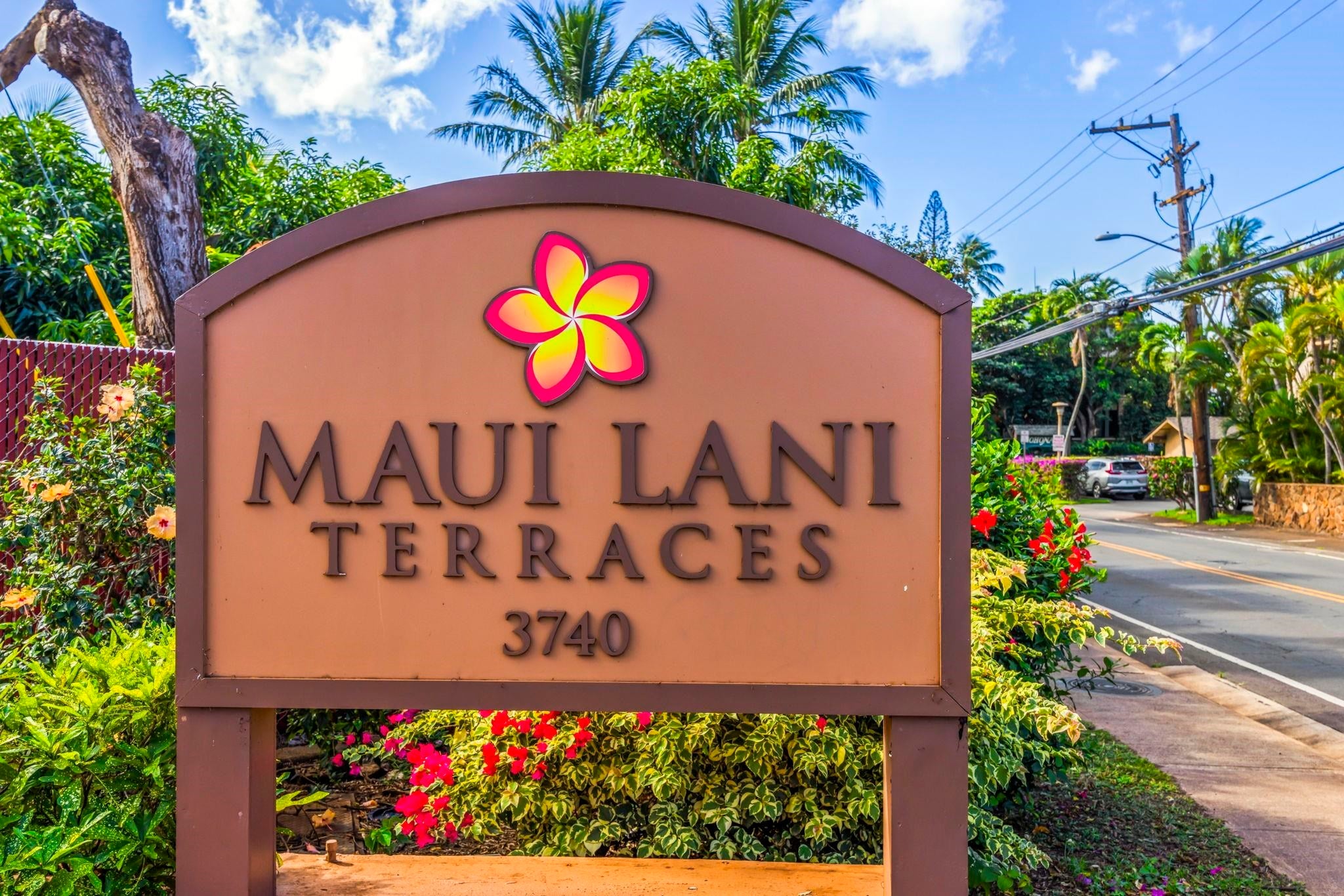 Photo of Listing #407084