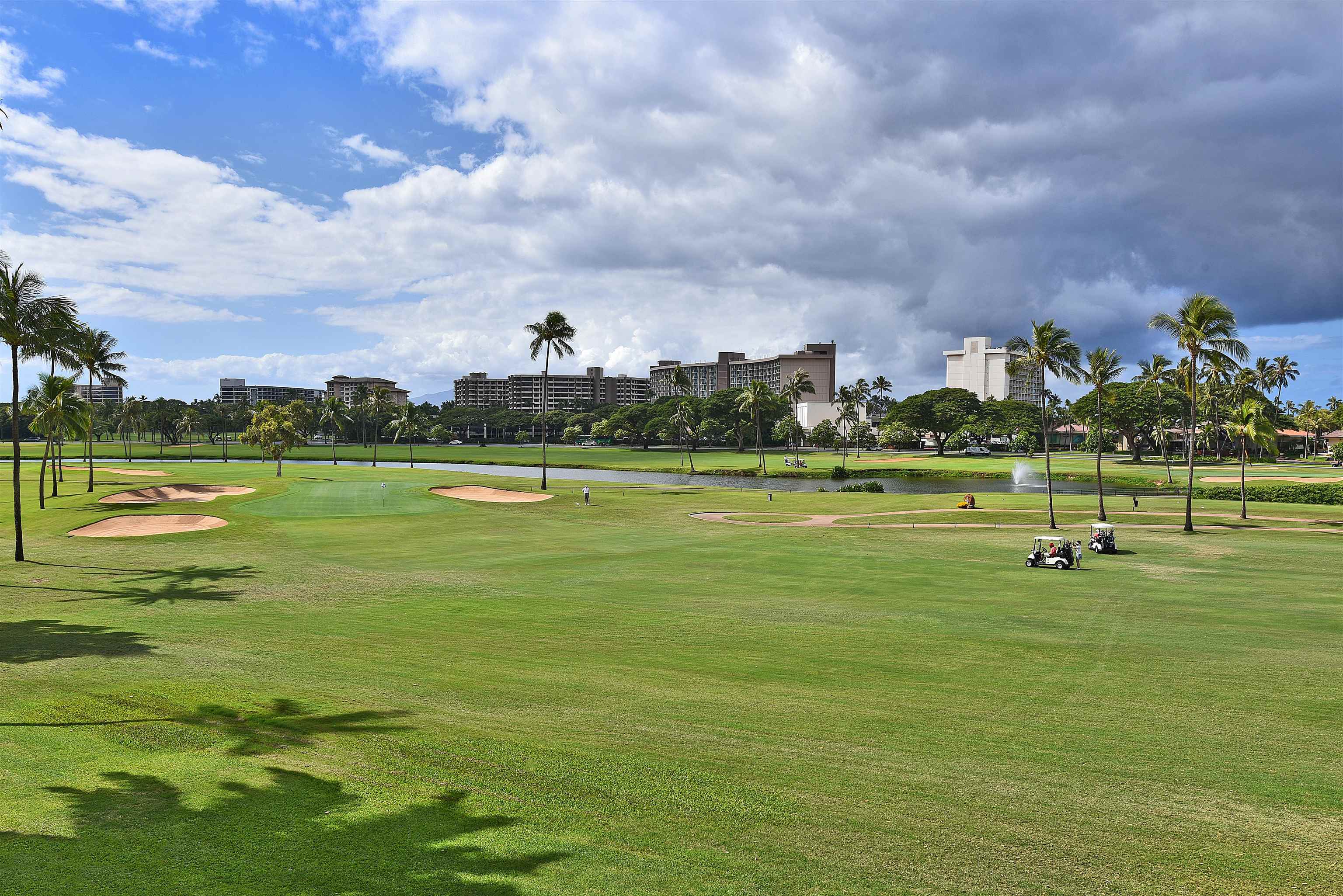 Photo of Listing #406031