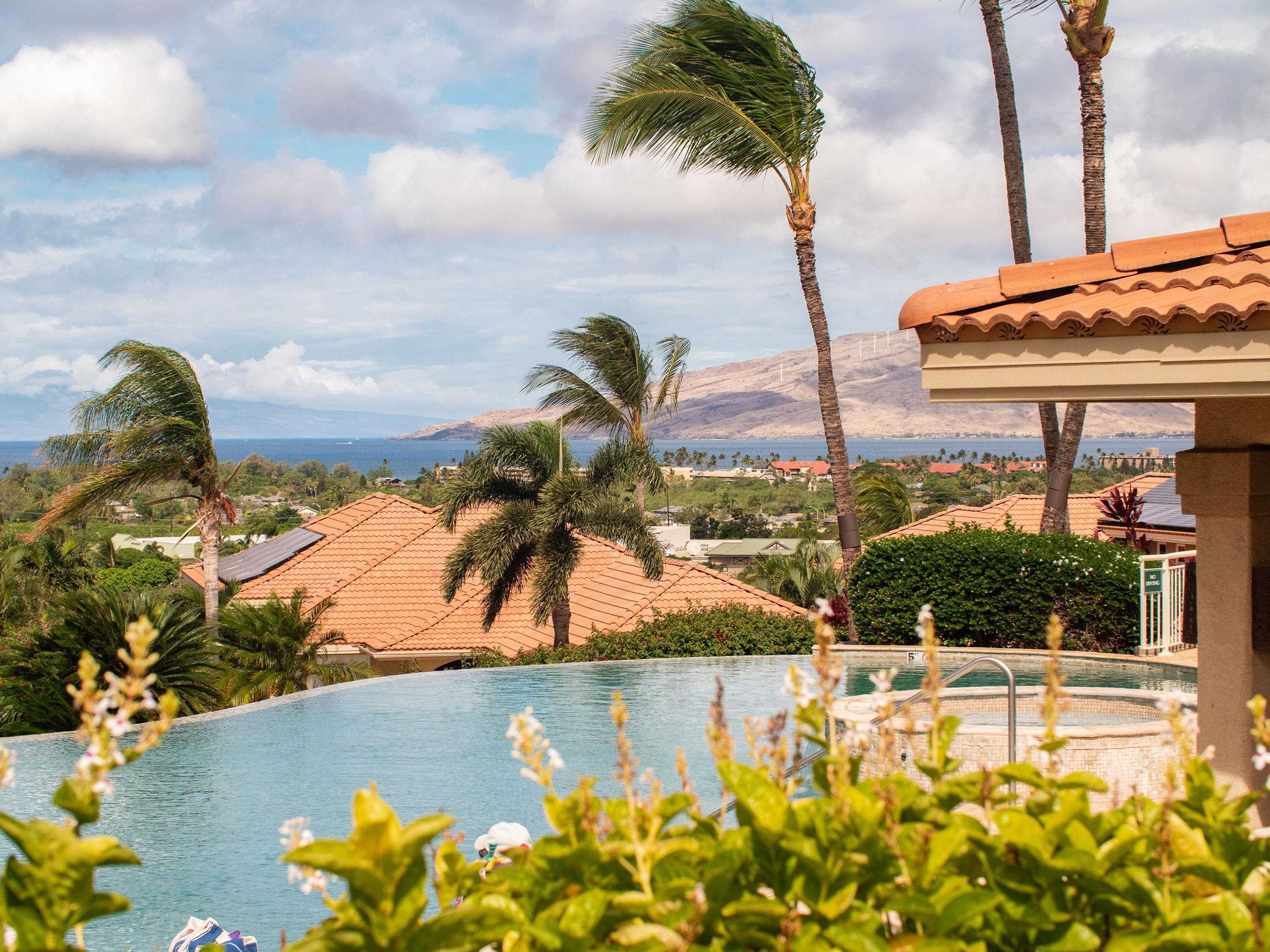 Photo of Listing #406879