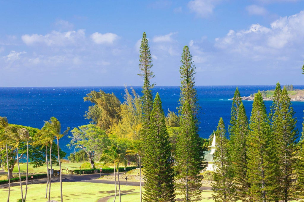 100 Ridge Rd, Unit 723, Kapalua