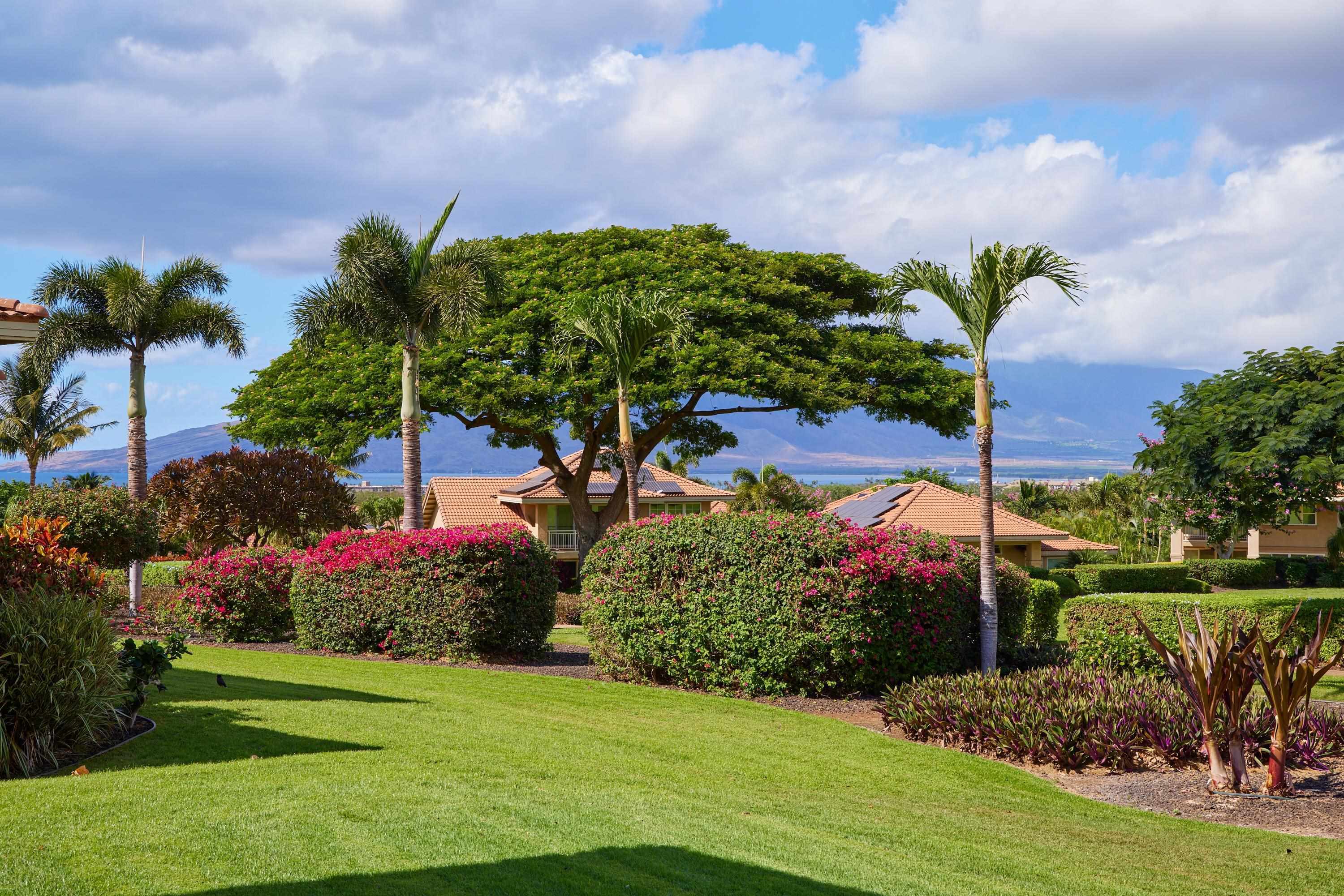 Photo of Listing #407971