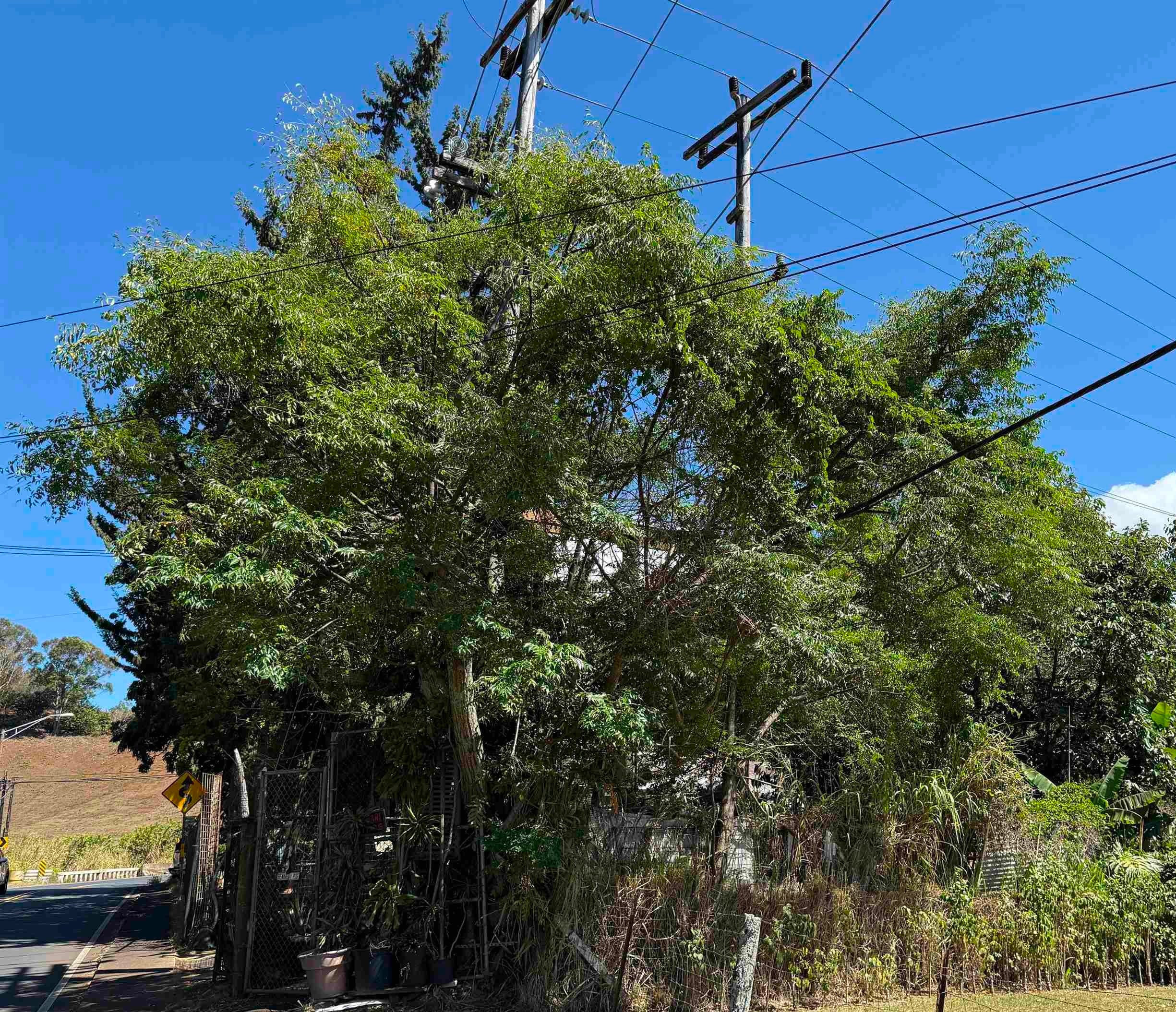 Photo of Listing #406749