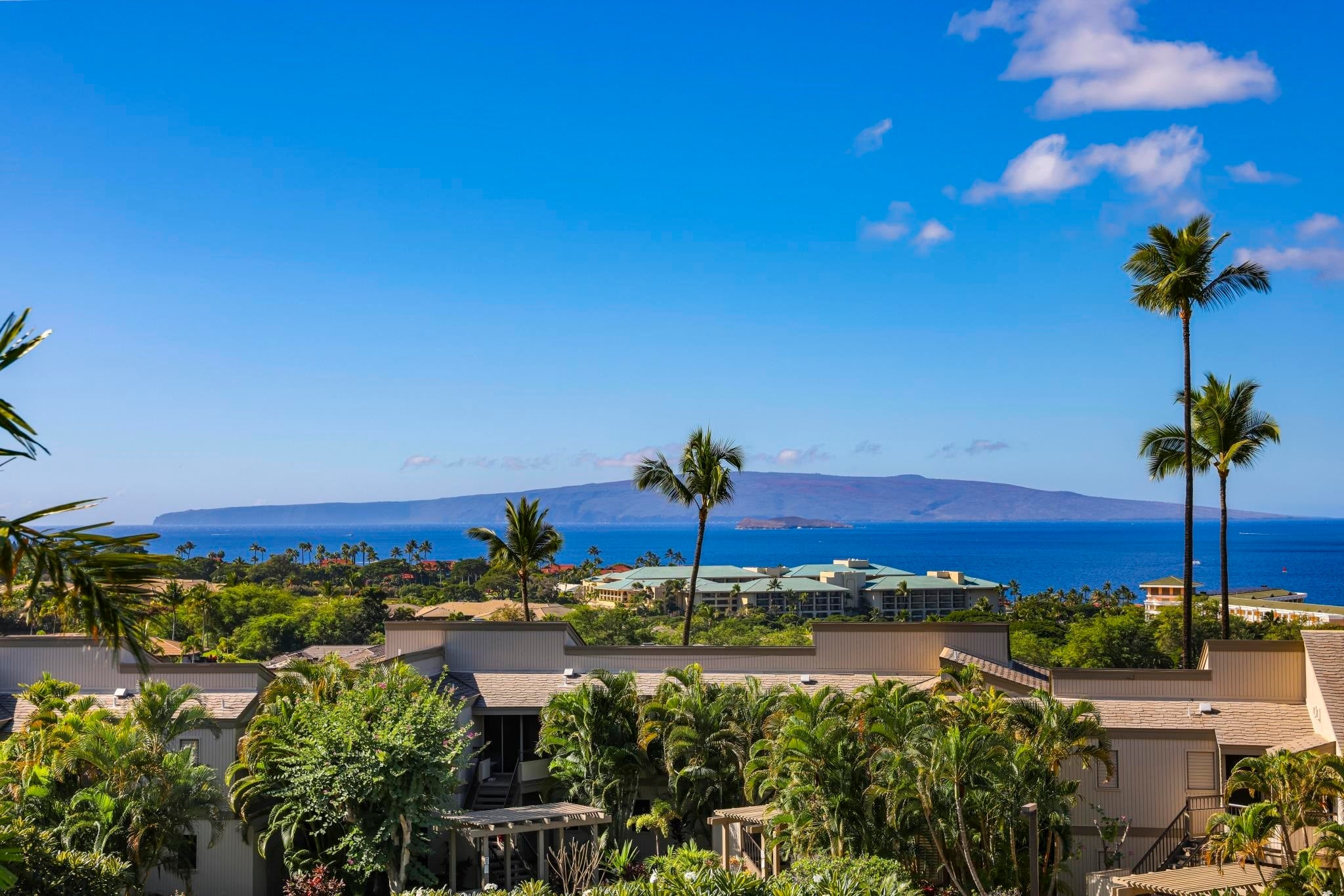 Photo of Listing #408223