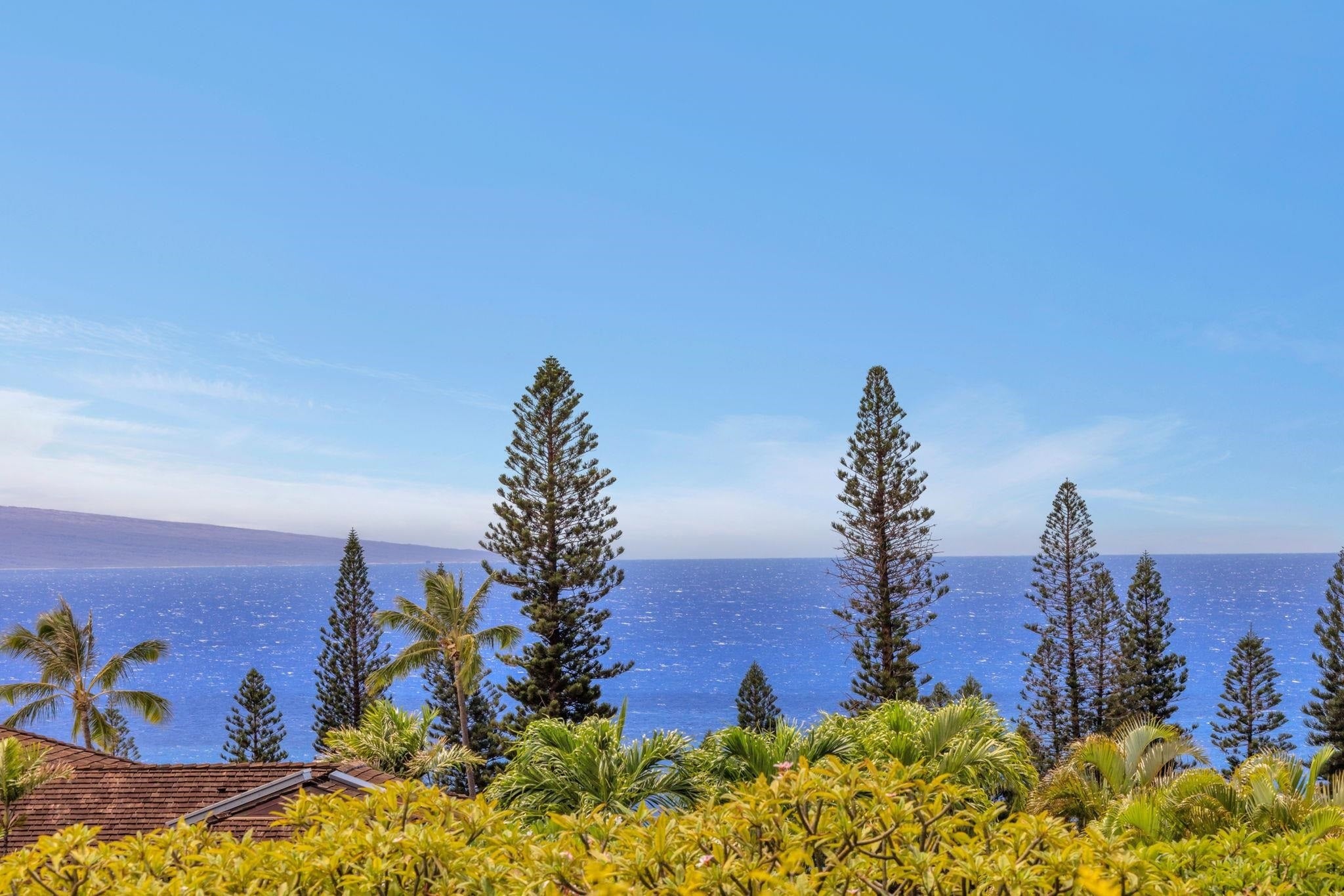 Photo of Listing #406864