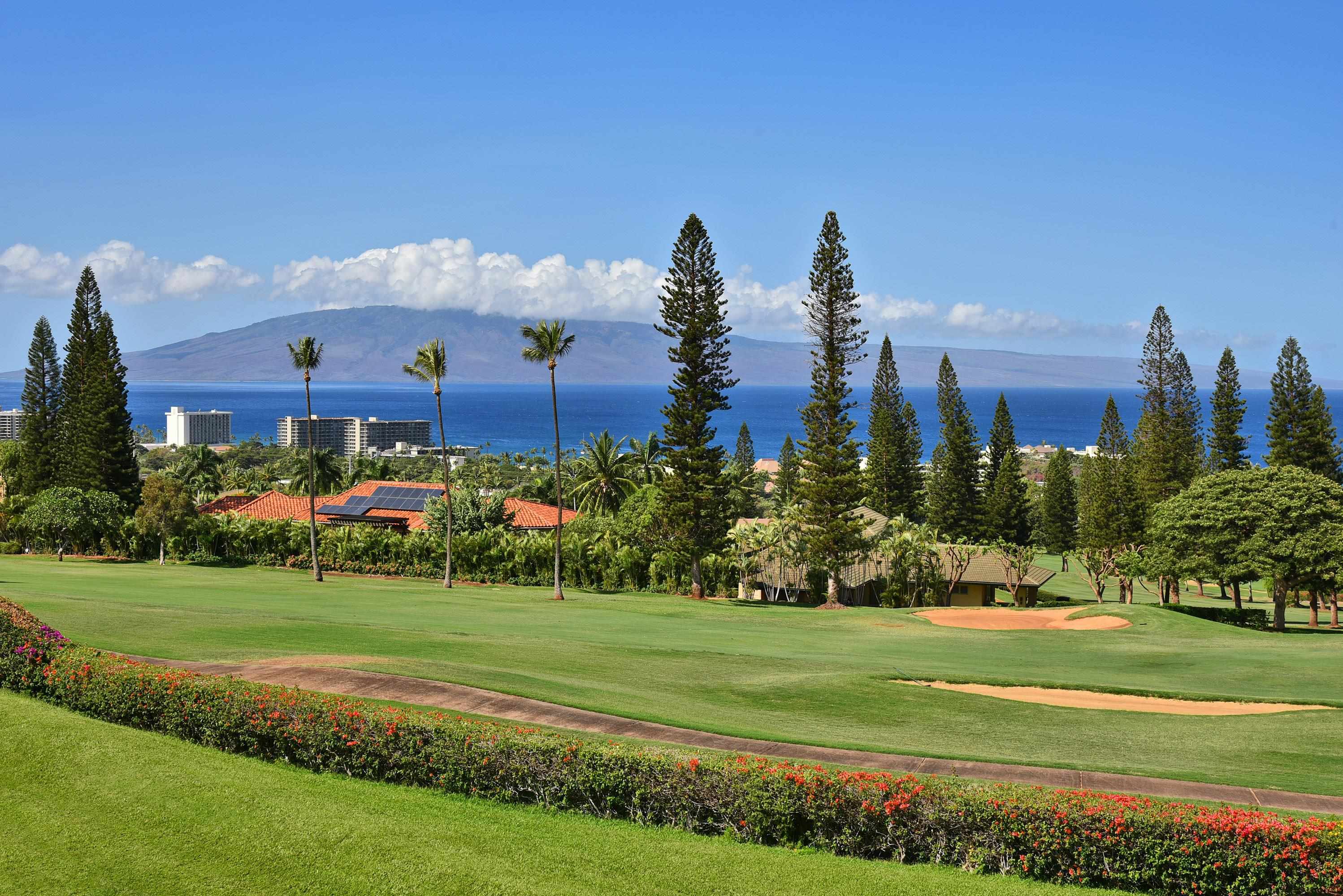 Photo of Listing #407331