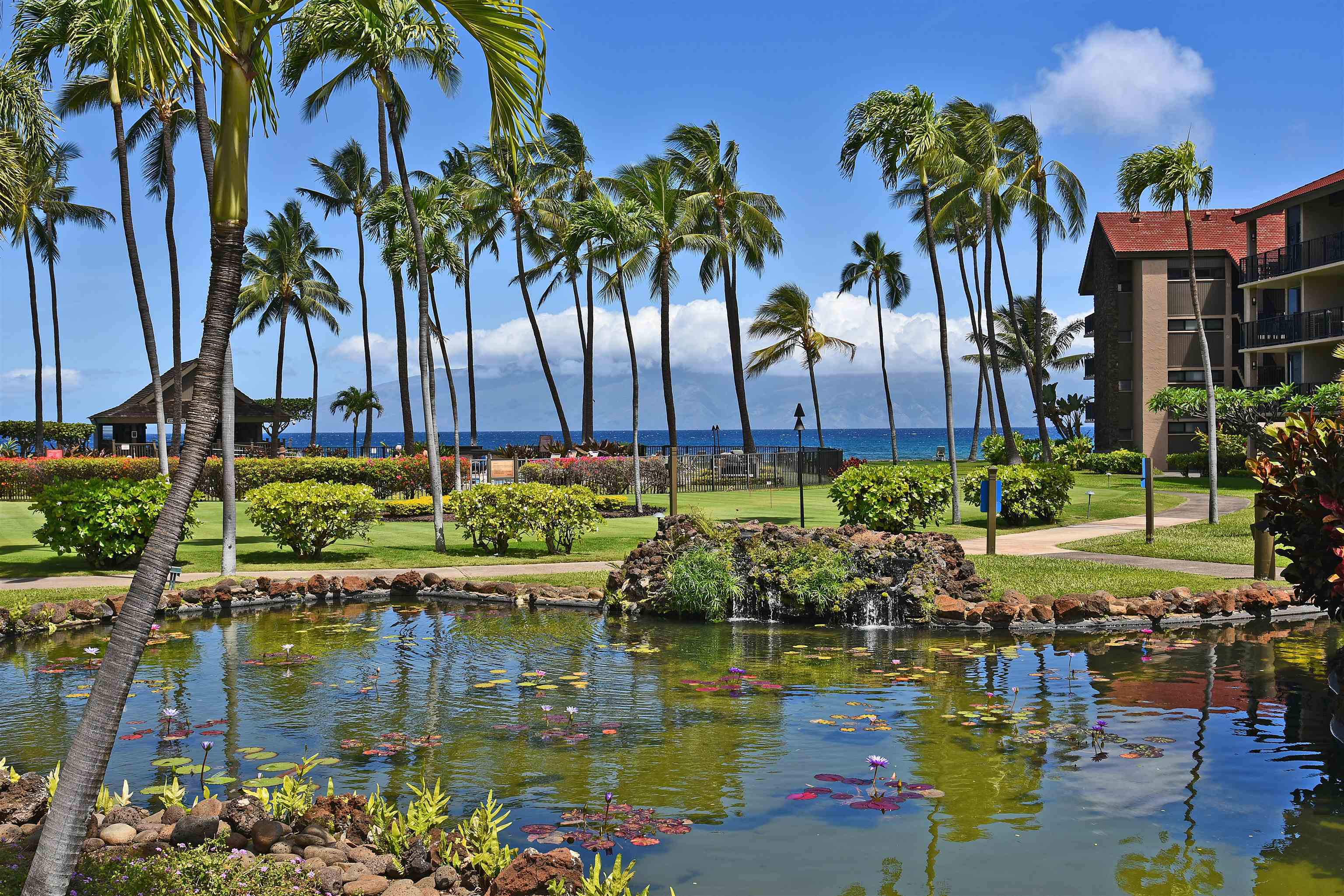 3543 Lower Honoapiilani Rd Unit - B49593672a08279257d784b0d4160a37 6 29a080aaed614a7461a1a0898e12dbfb O