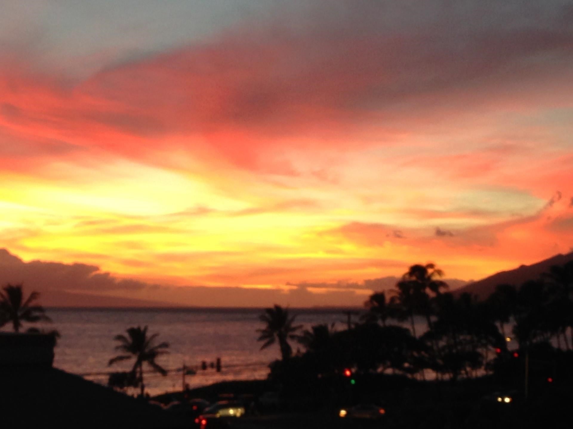 Photo of Listing #407490