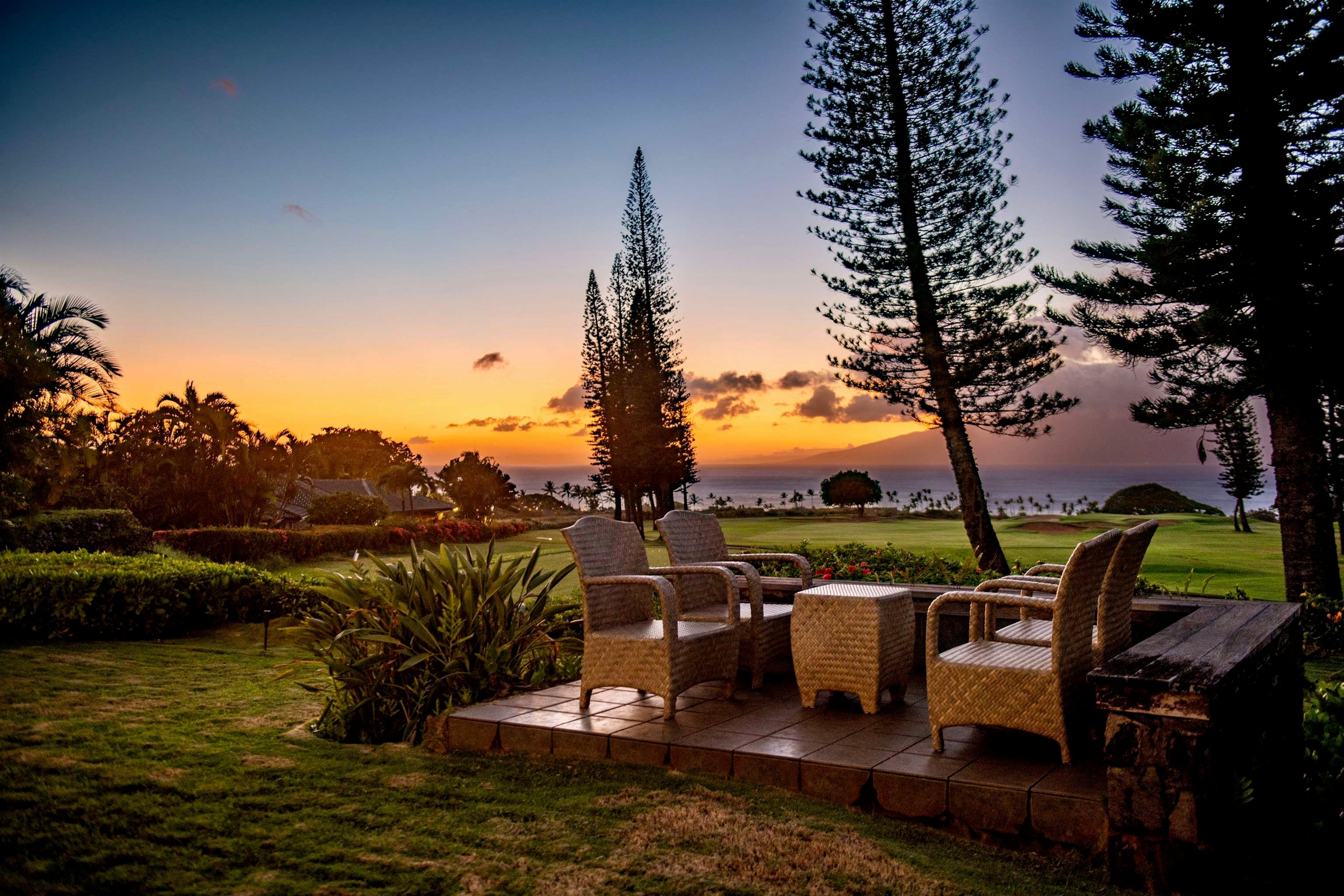 Photo of Listing #406659