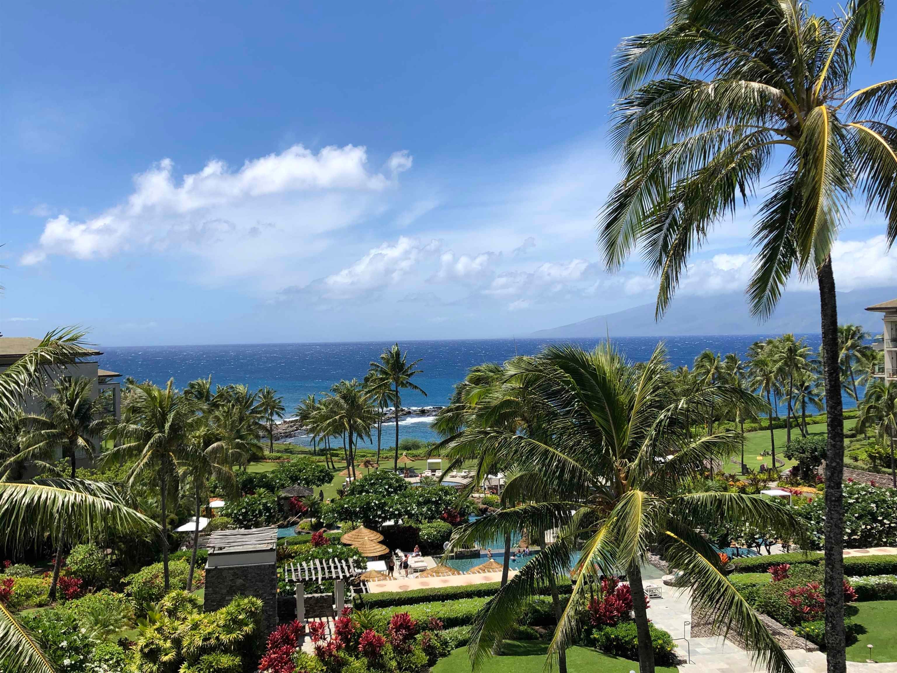 Photo of Listing #405521