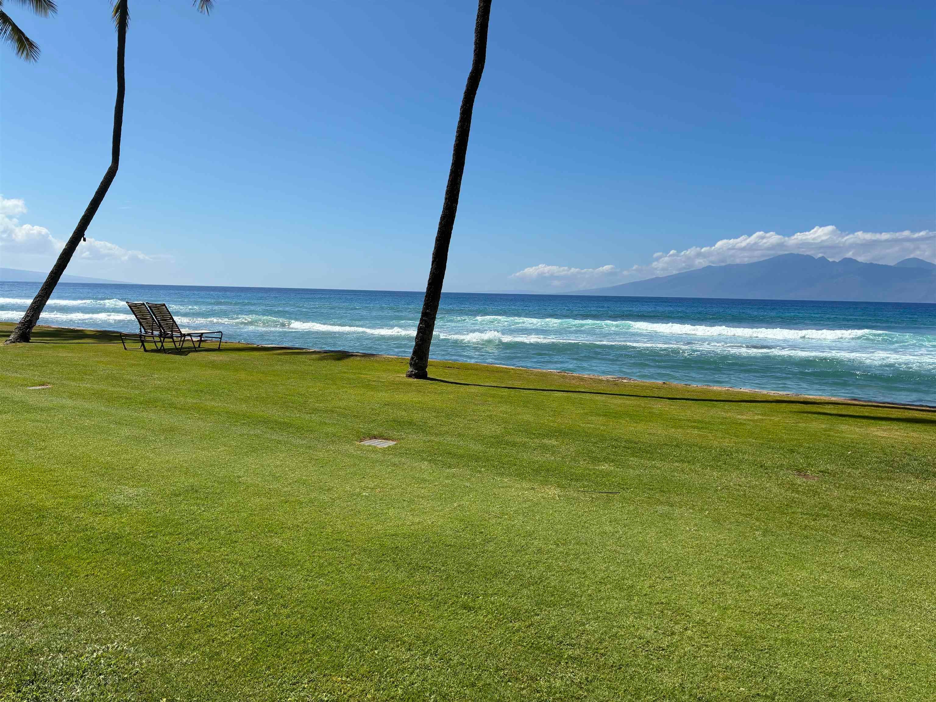 Photo of Listing #407423