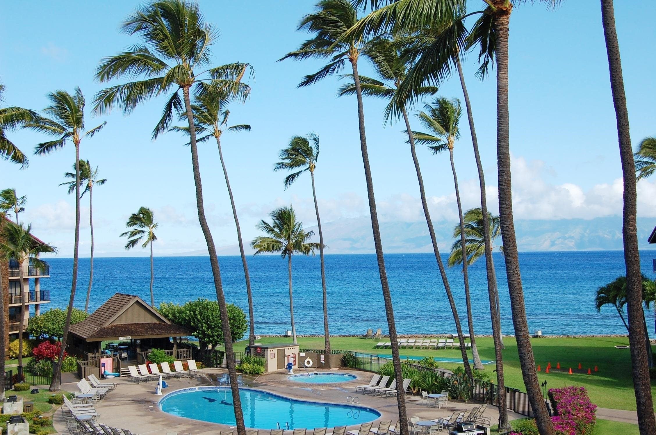 Photo of Listing #408632