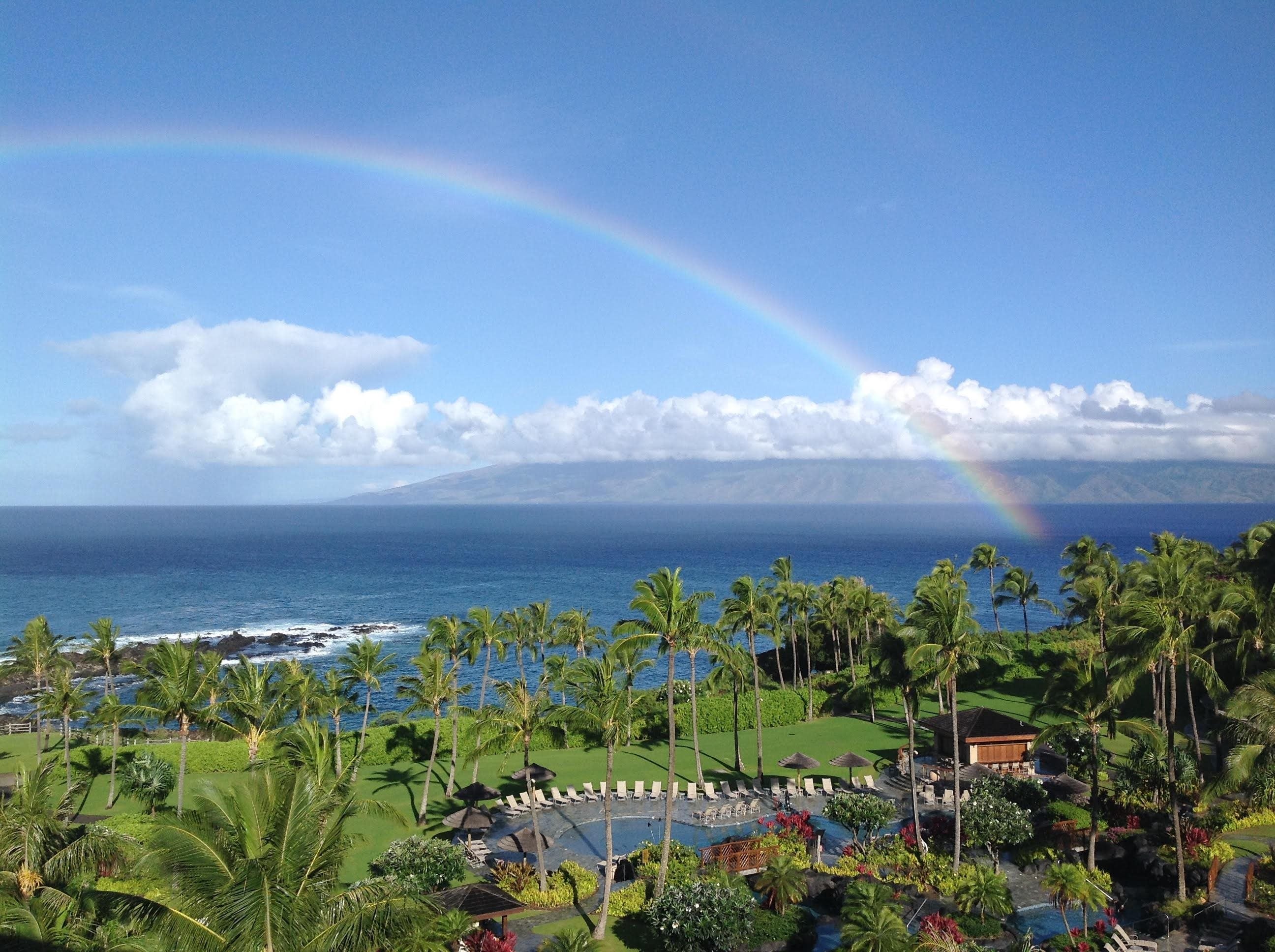 Photo of Listing #406871