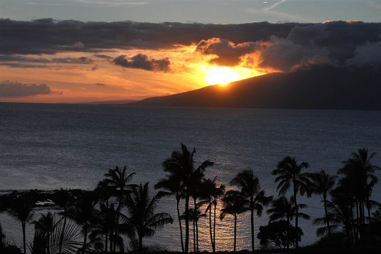 Photo of Listing #375589