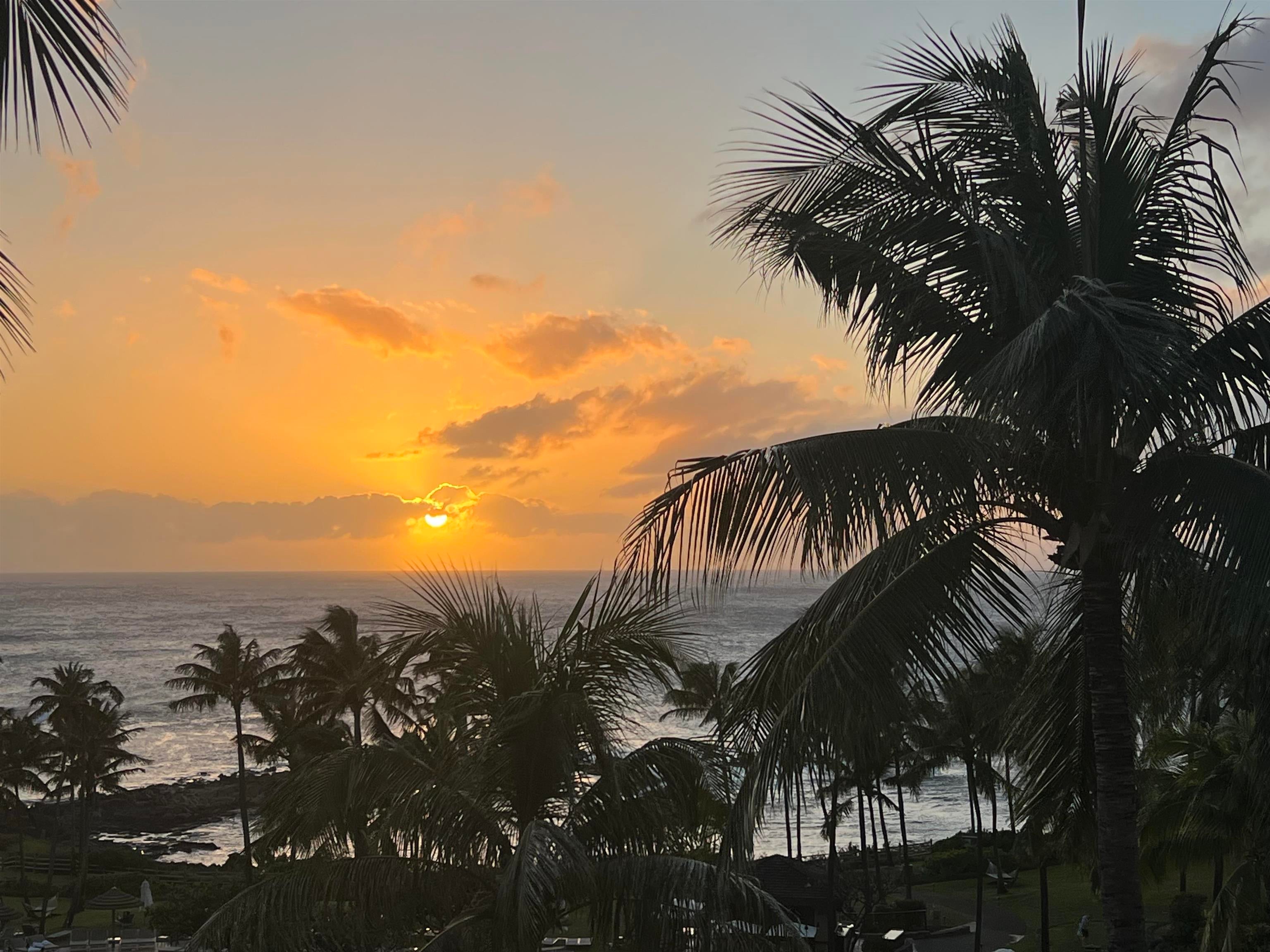 Photo of Listing #405767