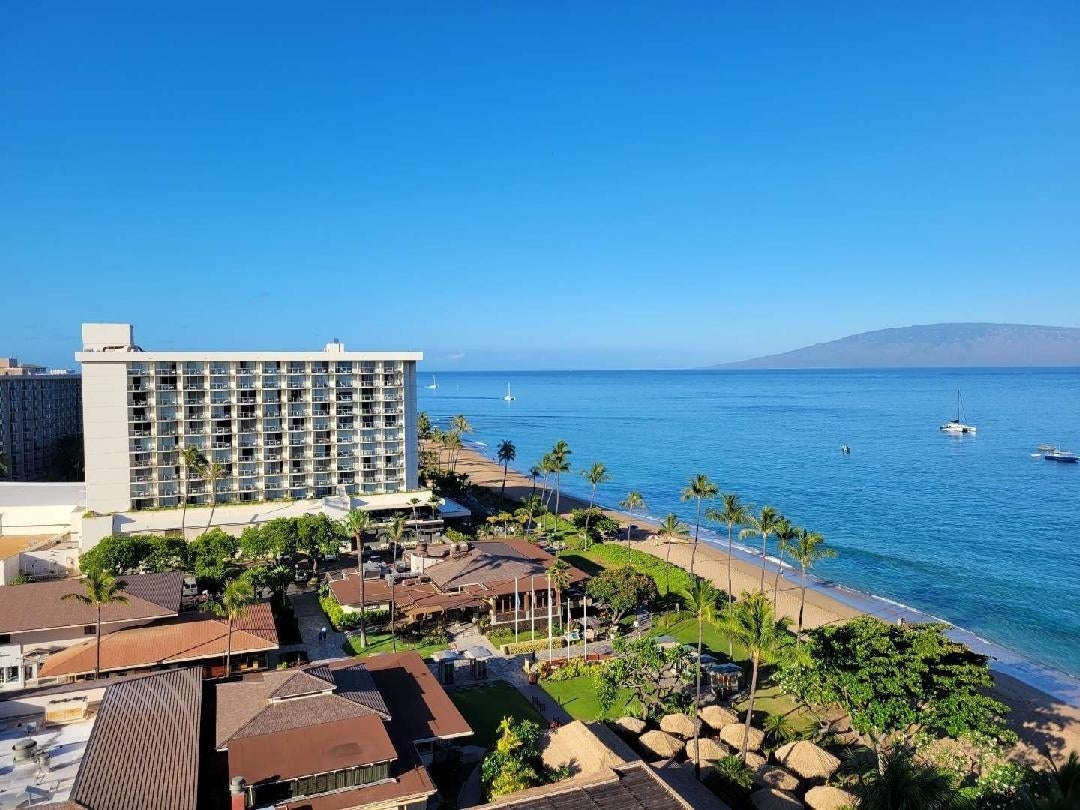 Photo of Listing #405604