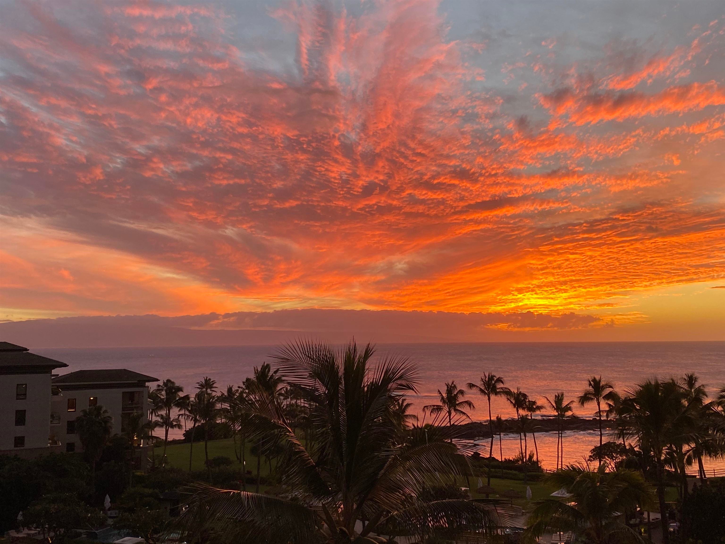 Photo of Listing #405294