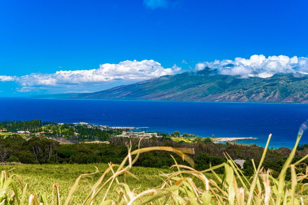 142 Keoawa Pl, Unit 25, Kapalua