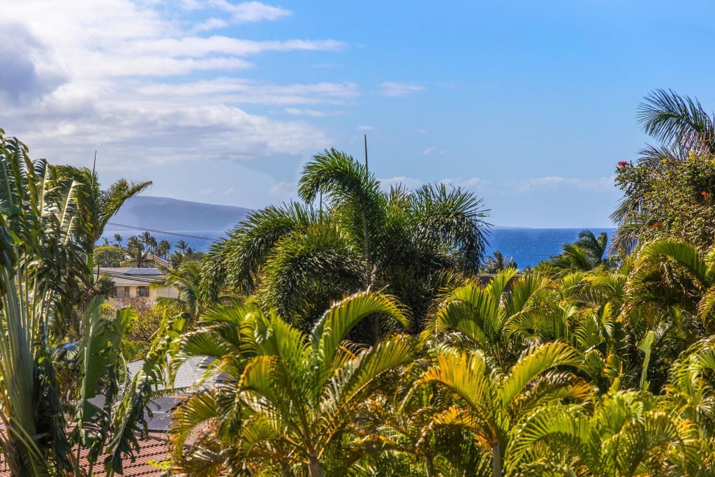 2630 Kanakanui Rd, Kihei